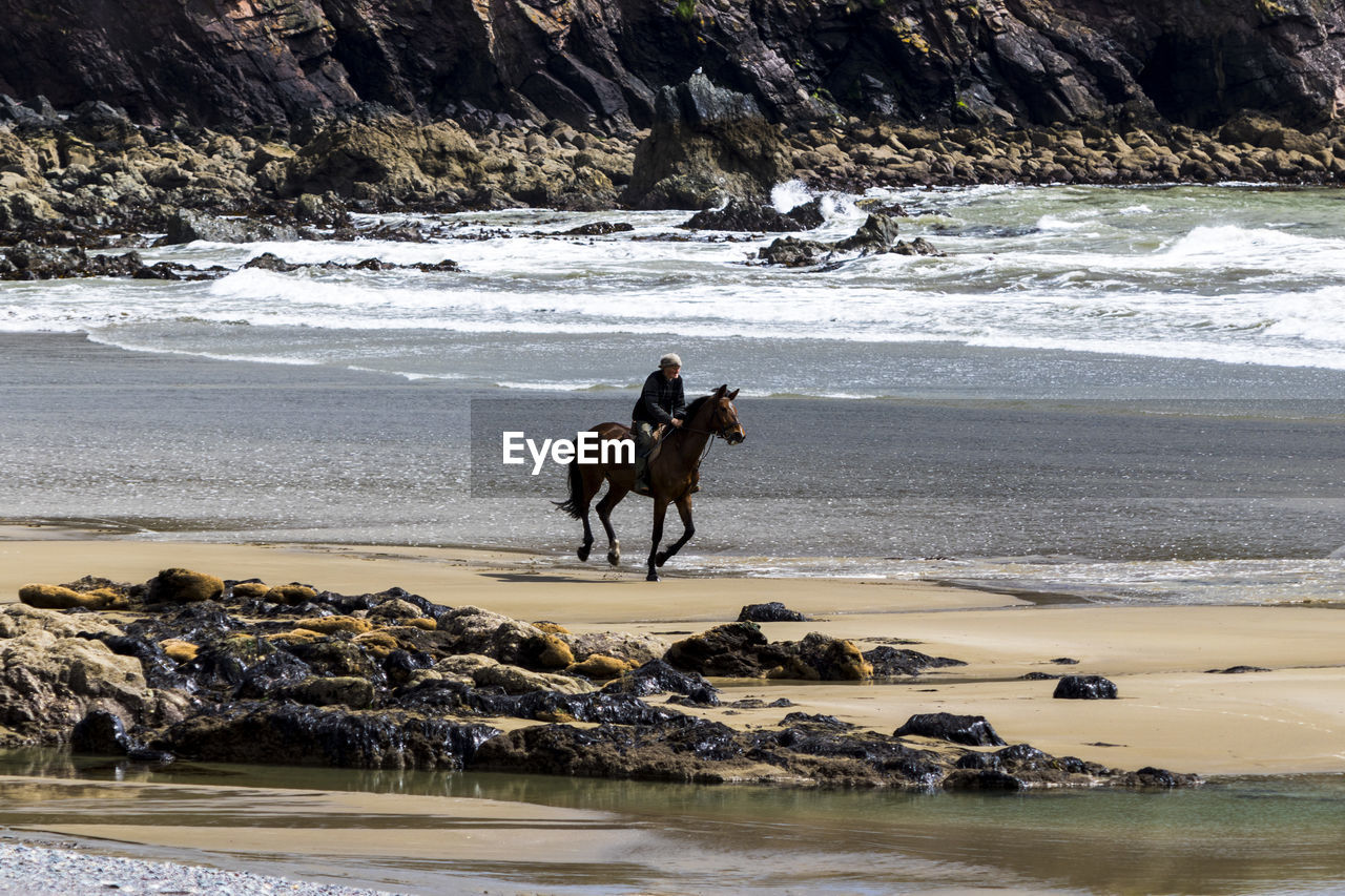 Man riding horse at beach