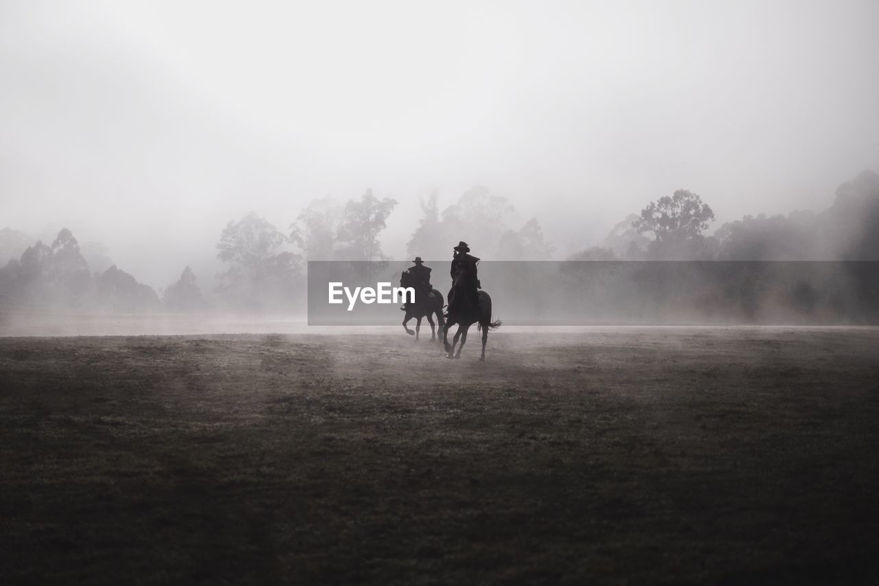 Silhouette men riding horses on field against sky during foggy weather