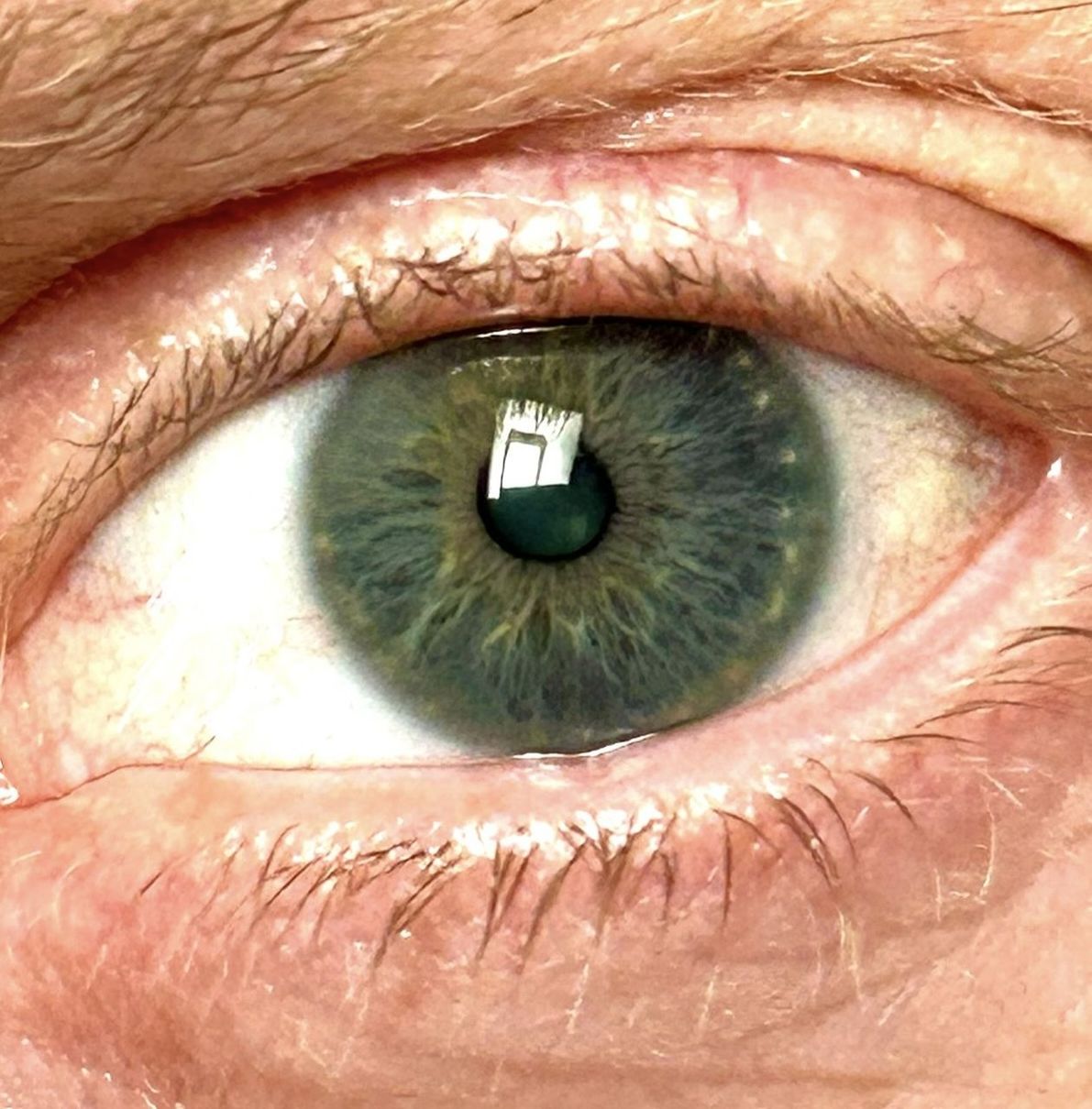 eye, human eye, nose, sensory perception, eyelash, human face, eyebrow, human mouth, close-up, one person, human head, iris, extreme close-up, eyeball, vision care, brown, eyelash extensions, full frame, adult, macro, looking at camera, looking