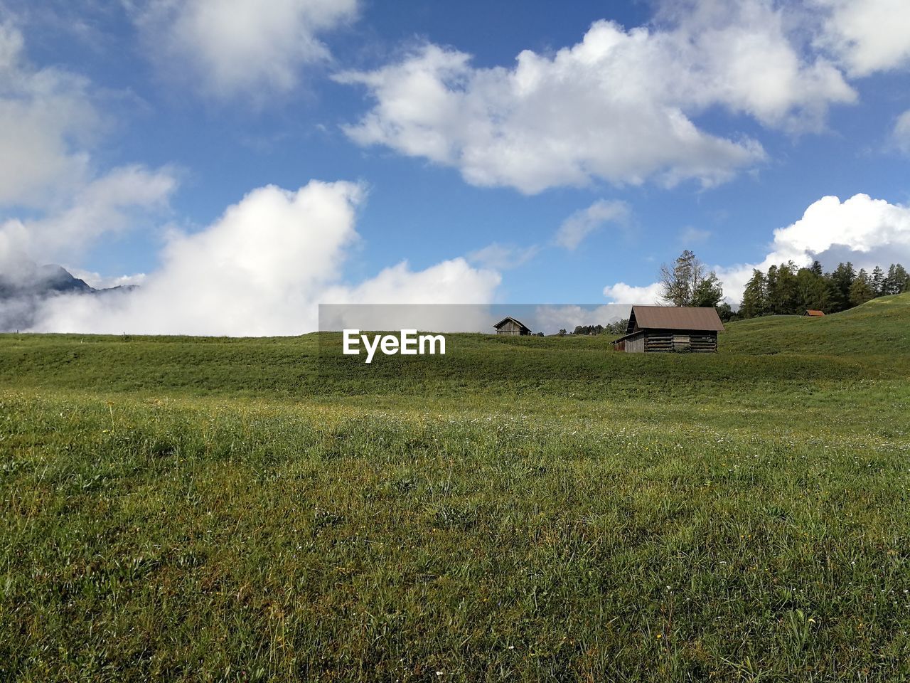 SCENIC VIEW OF FARM AGAINST SKY