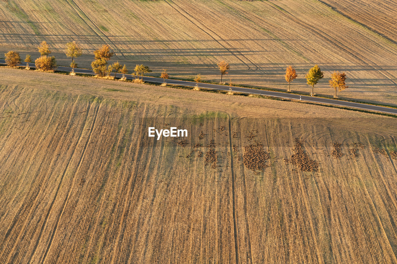 A asphalt road with rows of trees in autumn colors leads over an empty very dry field with traces