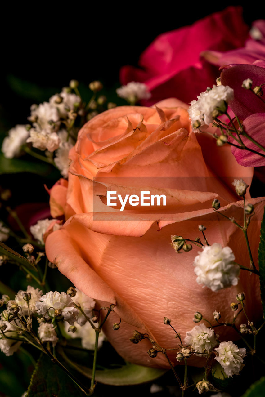 CLOSE-UP OF FLOWER BOUQUET
