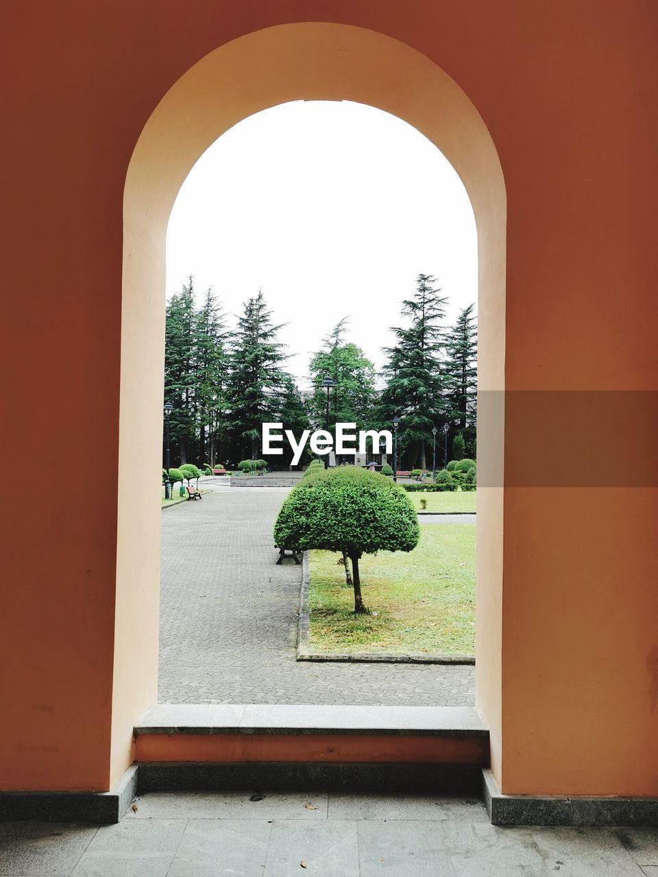 Trees seen through arch window