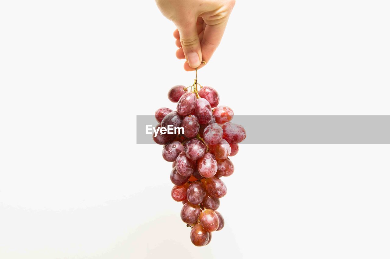 Close-up of hand holding grapes bunch over white background