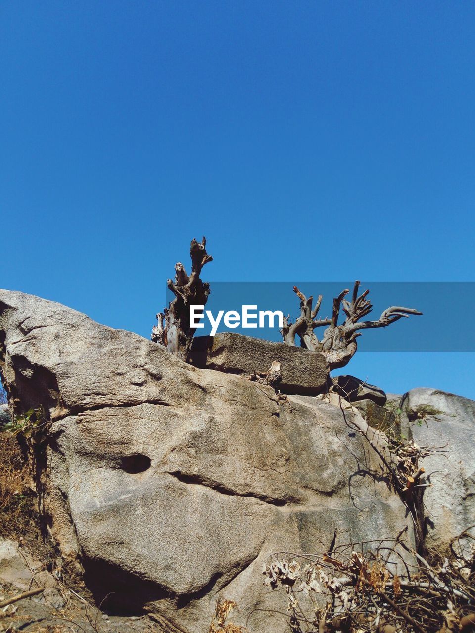 LOW ANGLE VIEW OF EAGLE AGAINST CLEAR SKY