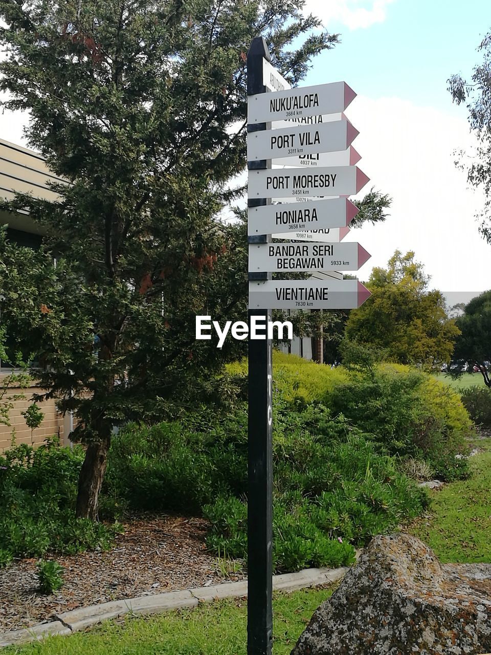 INFORMATION SIGN ON TREE AGAINST SKY