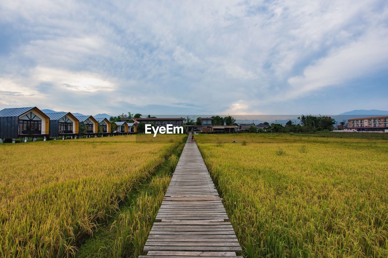 Footpath amidst houses on field against sky