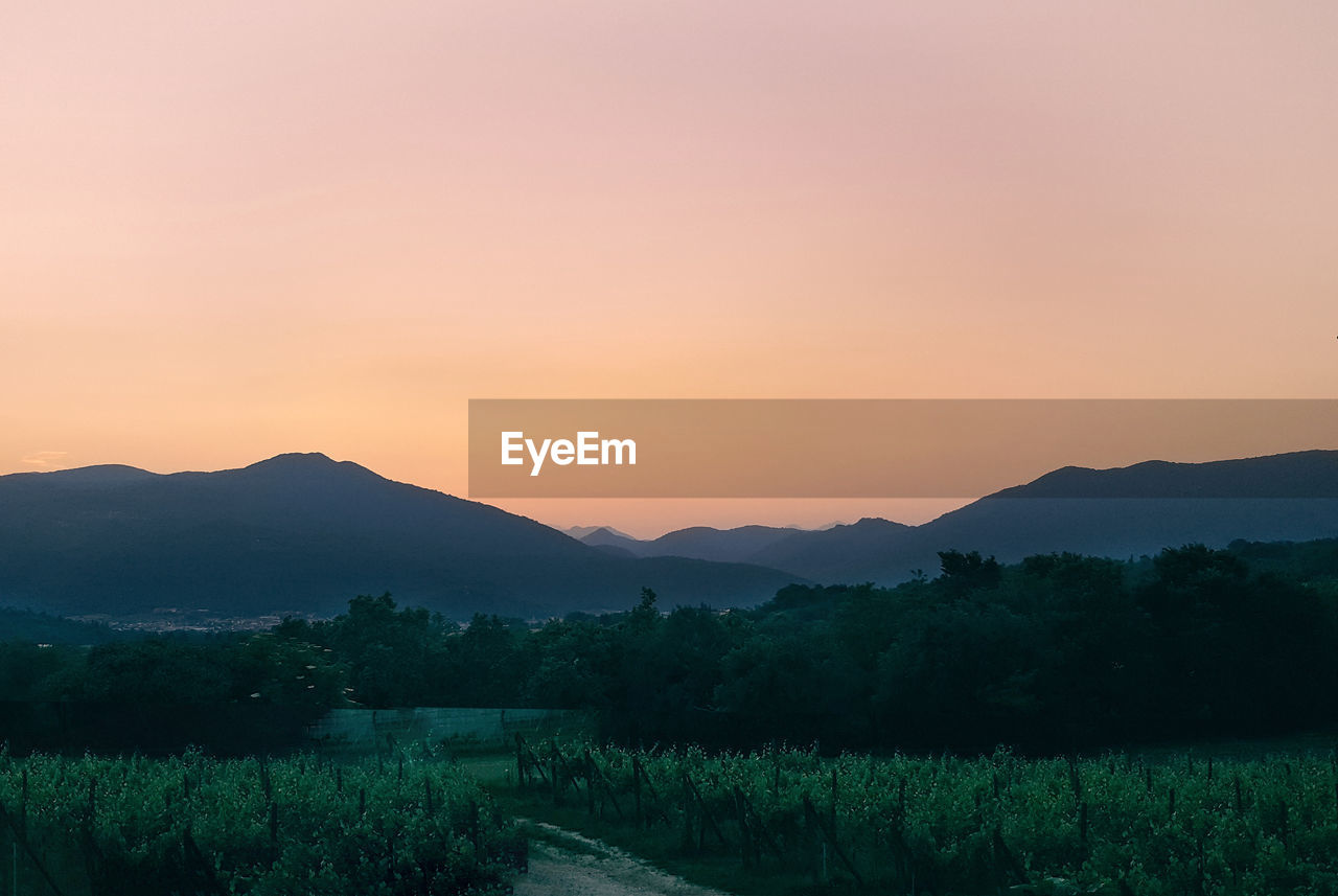 Scenic view of field against sky during sunset