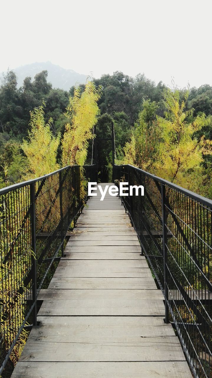 FOOTBRIDGE LEADING TOWARDS TREES AGAINST CLEAR SKY