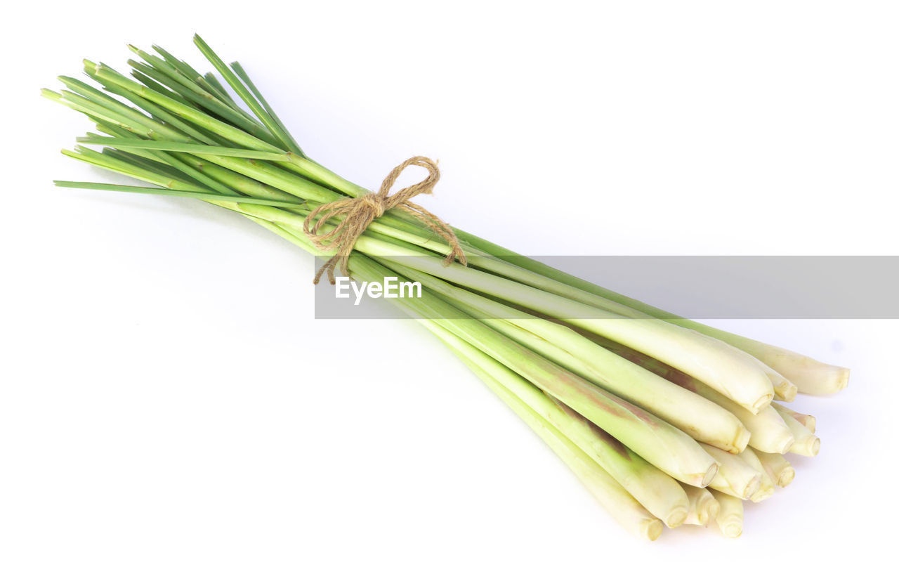 CLOSE-UP OF GREEN CHILI PEPPER AGAINST WHITE BACKGROUND