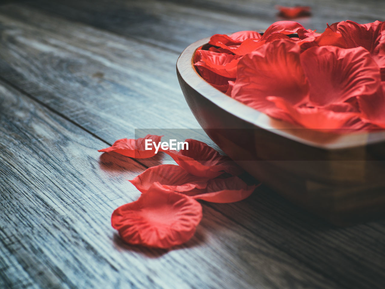 HIGH ANGLE VIEW OF HIBISCUS FLOWER ON TABLE