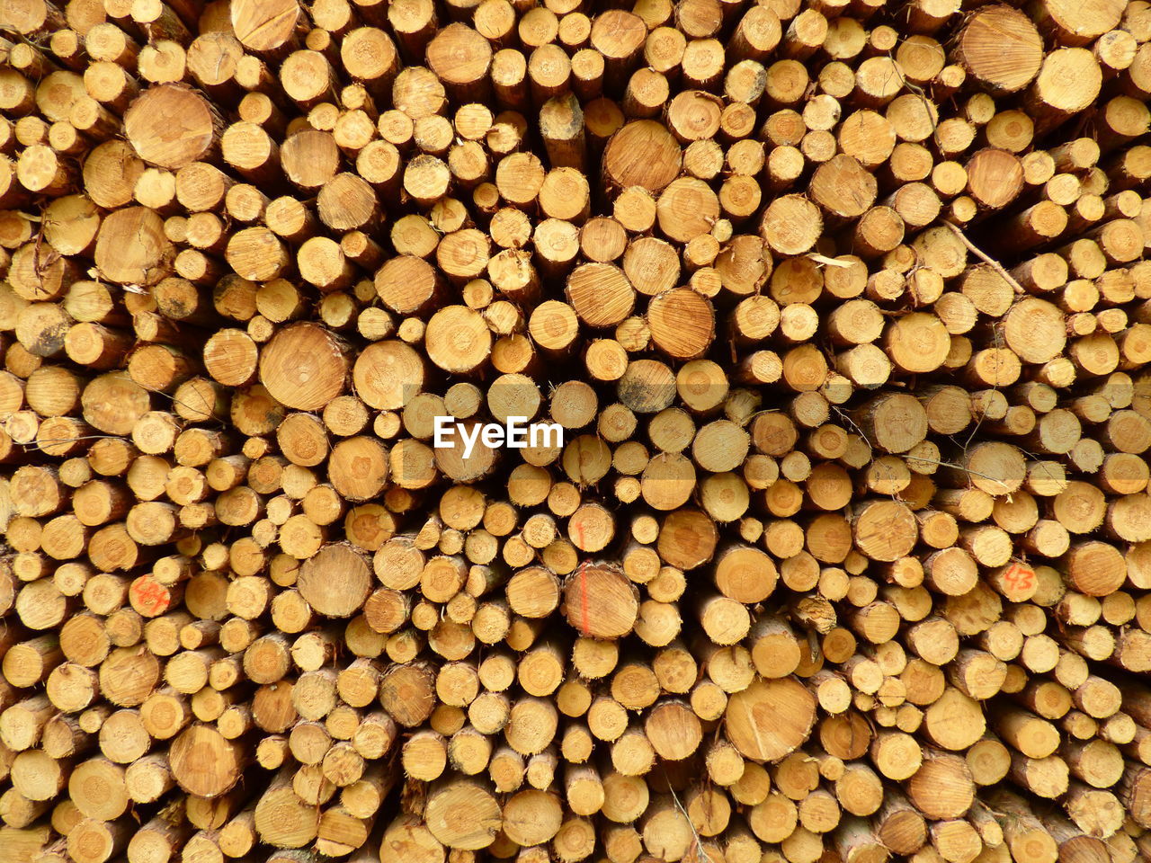 Full frame shot of logs