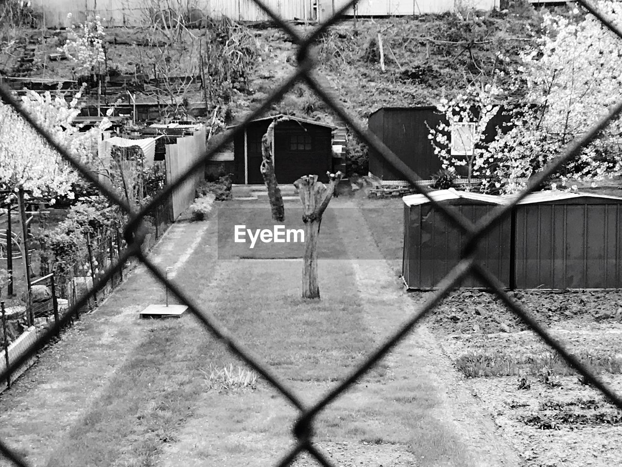 FENCE BY TREES AGAINST SKY SEEN THROUGH CHAINLINK