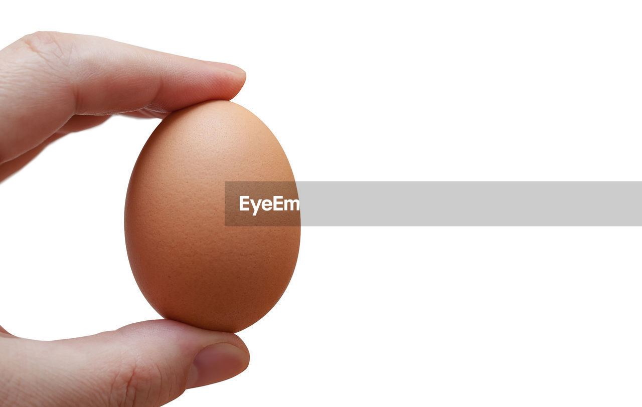 Cropped hand of person holding egg against white background