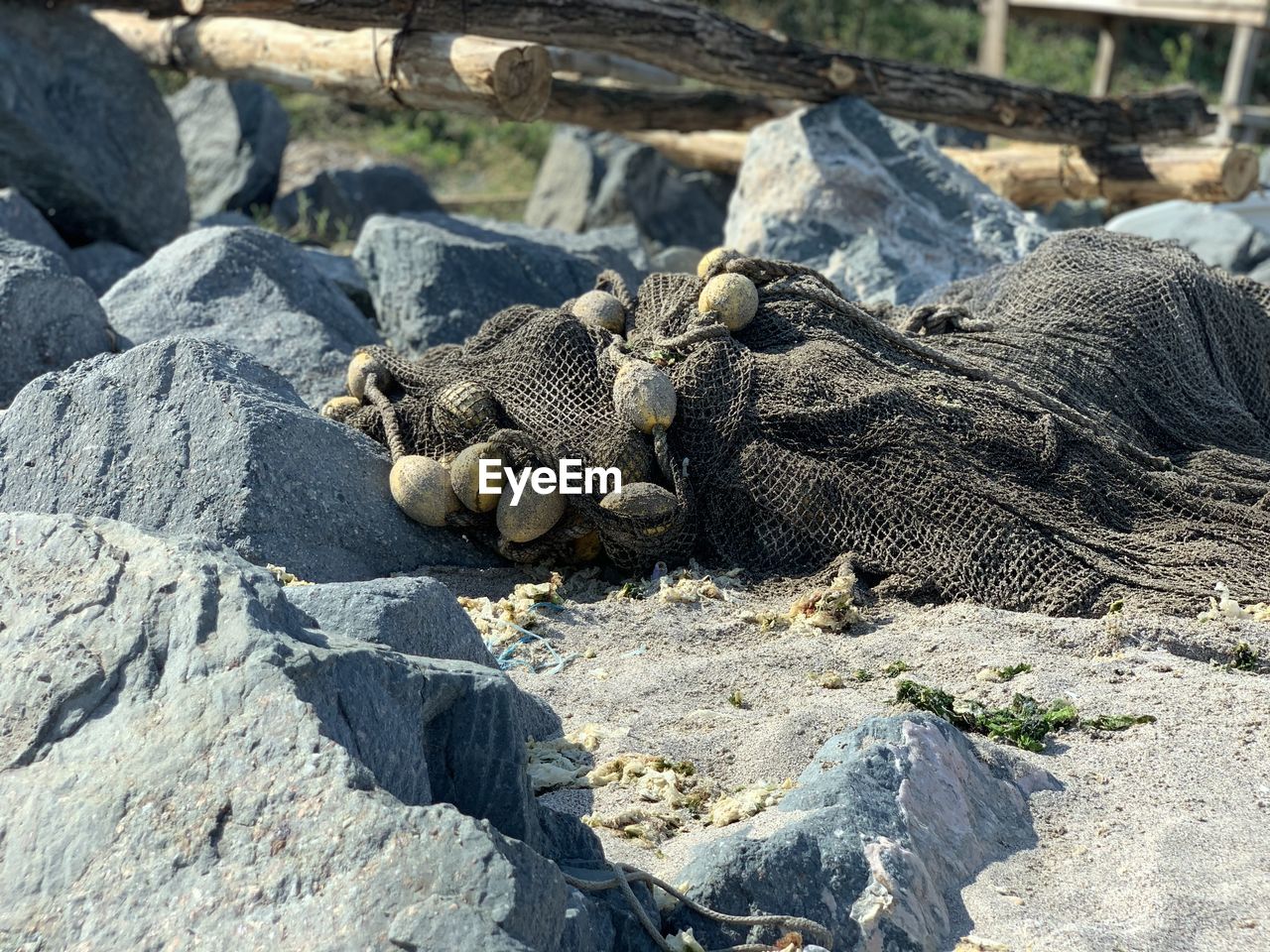 HIGH ANGLE VIEW OF LIZARD ON ROCKS