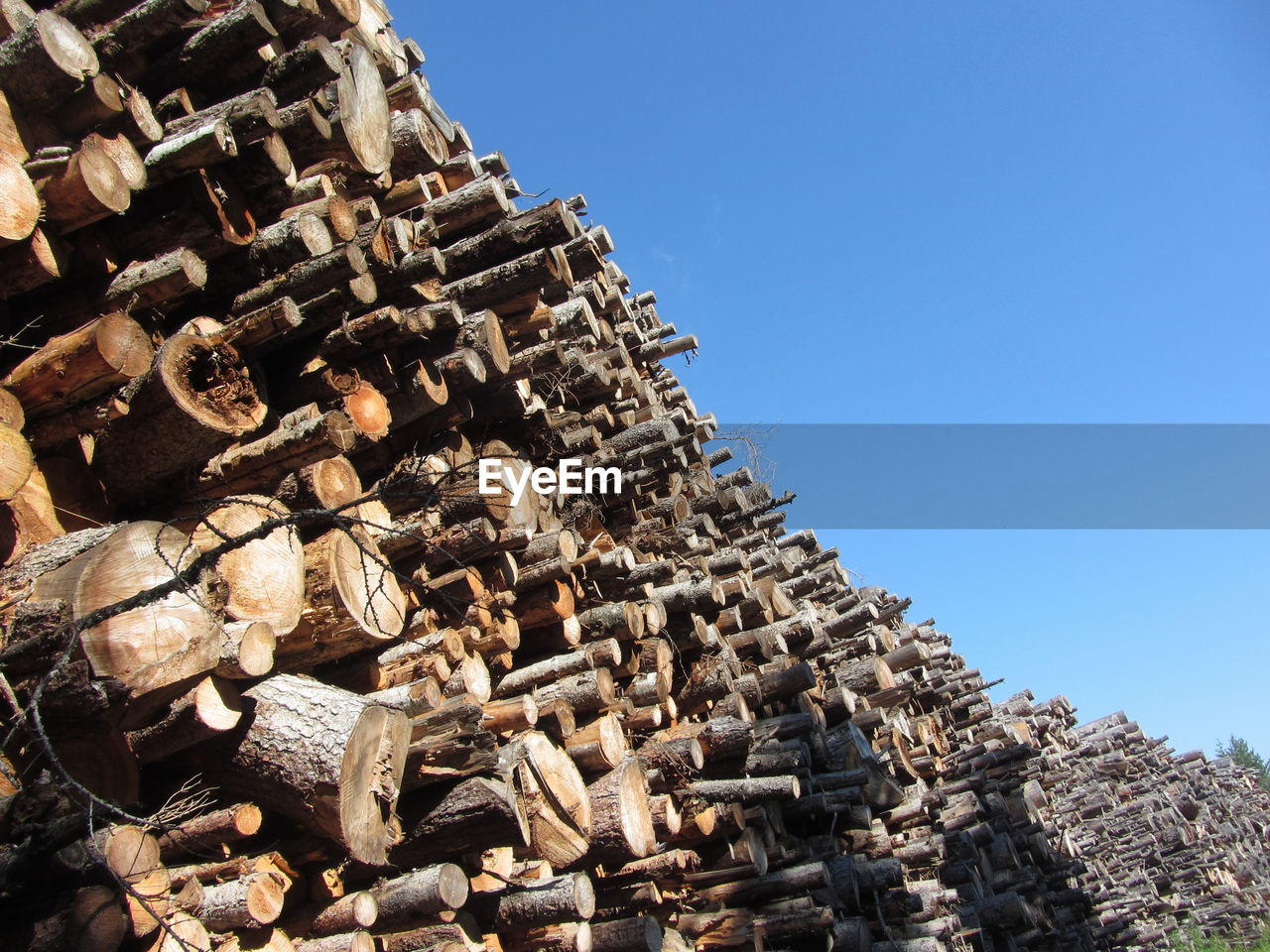 Woodpile of round logs against the blue sky . firewood pile stacked . chopped wood trunks