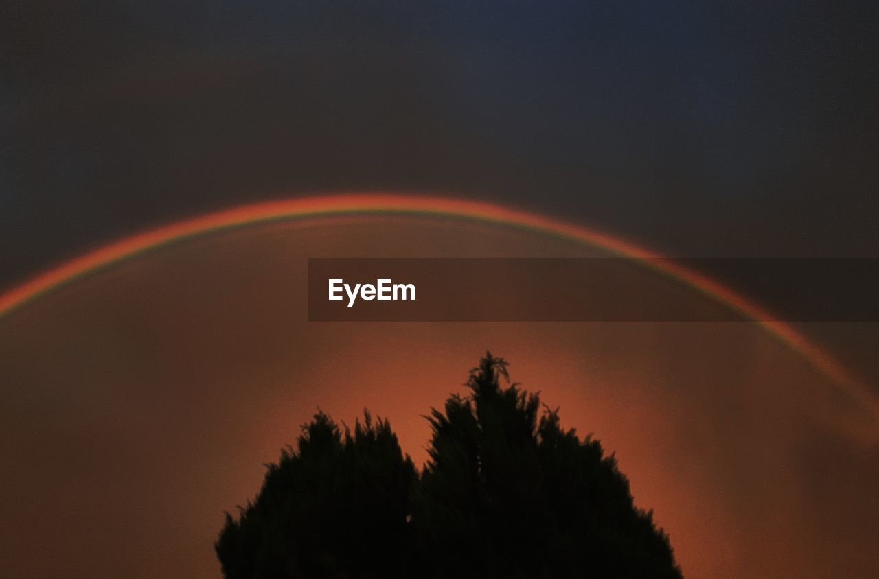 SILHOUETTE TREES AGAINST RAINBOW IN SKY