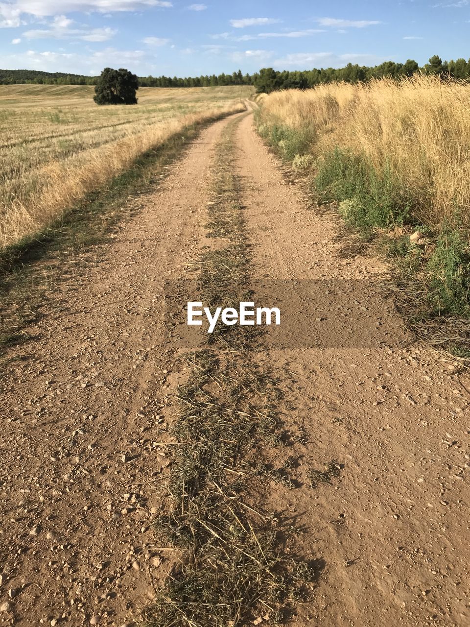 Dirt road on field against sky