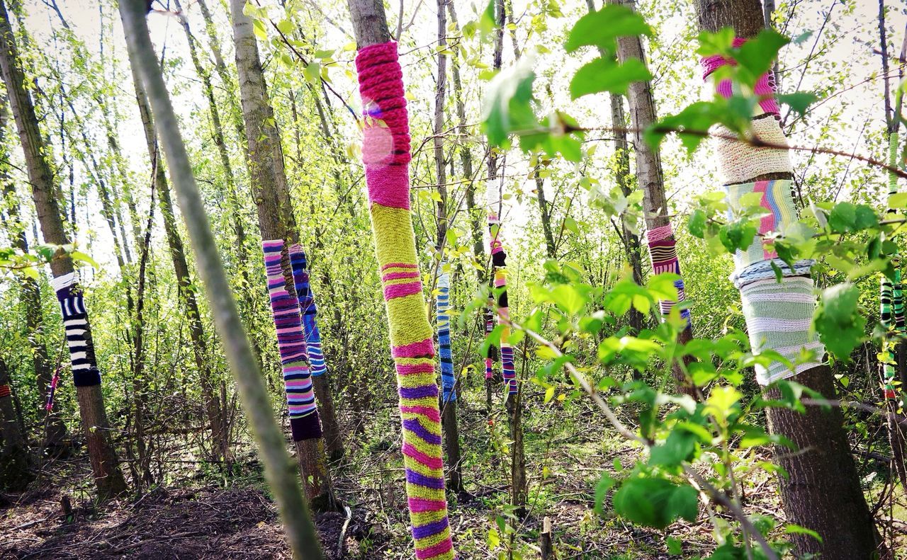 Trees covered with clothes in forest