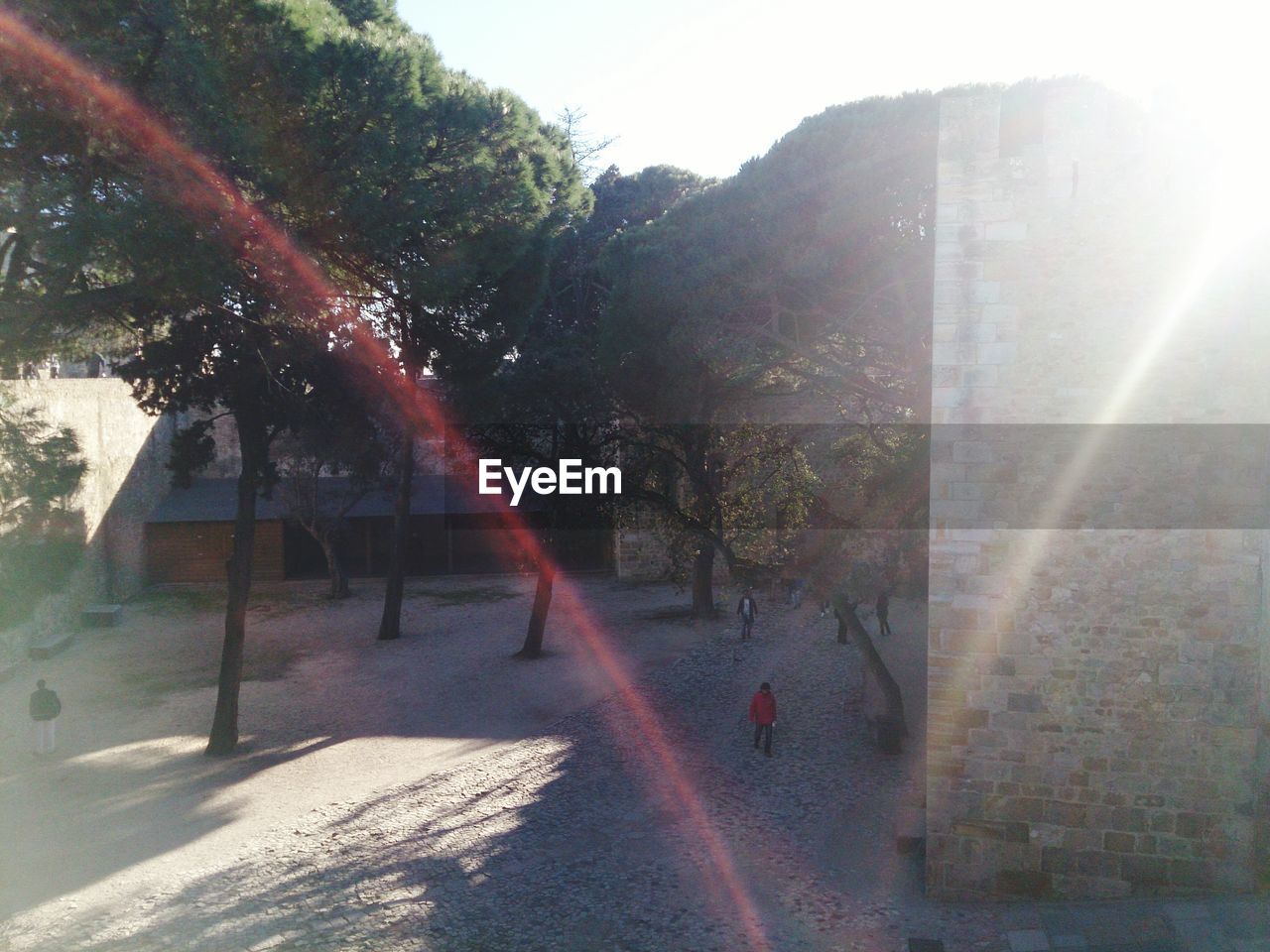 SCENIC VIEW OF TREES AGAINST BUILDING