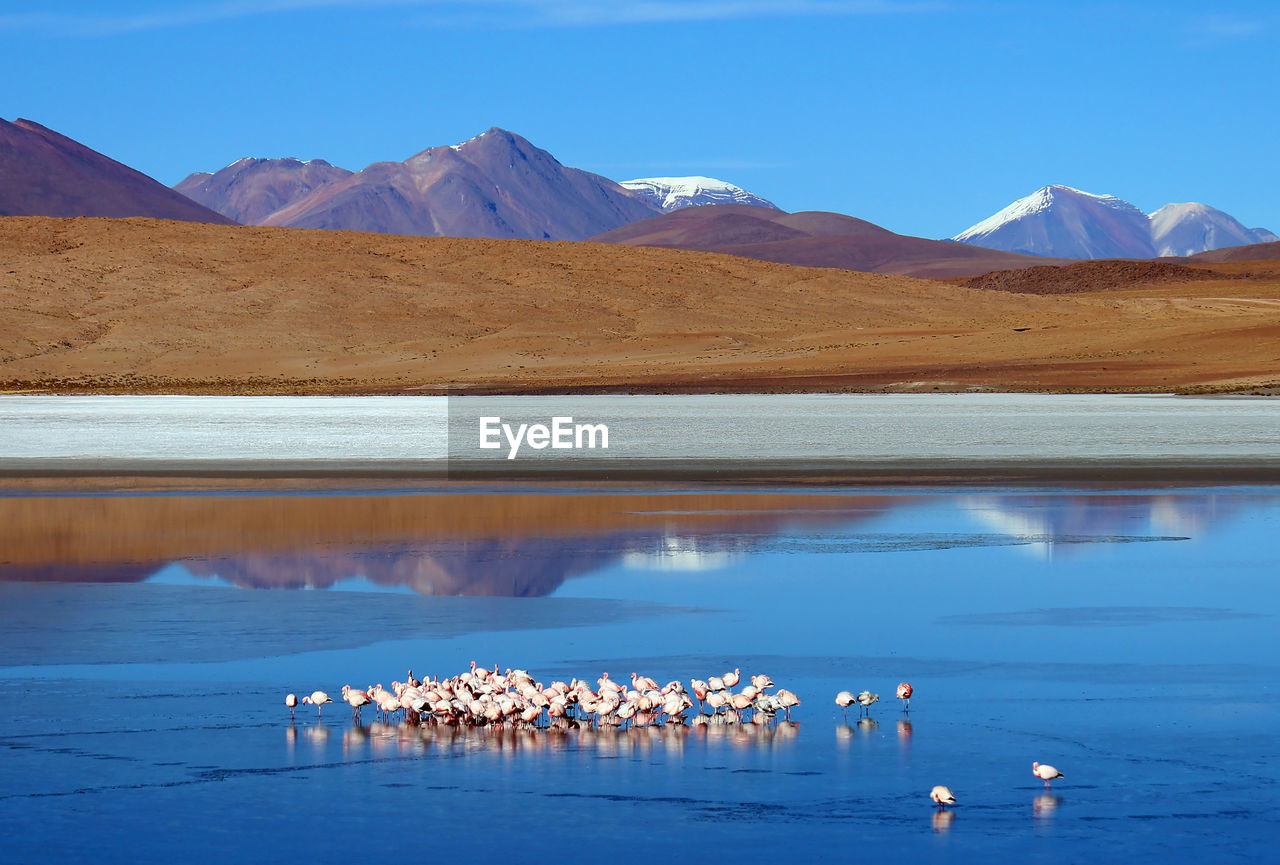 SCENIC VIEW OF LAKE AGAINST MOUNTAINS