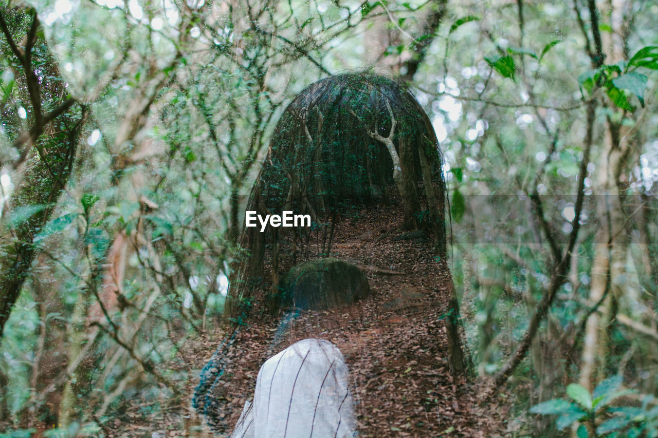Person standing by tree trunk in forest with double exposure