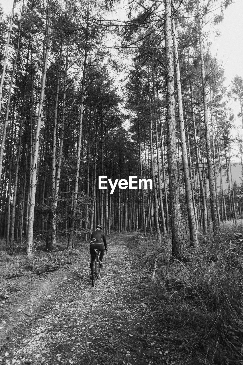Rear view of man walking in forest. gravel riding.