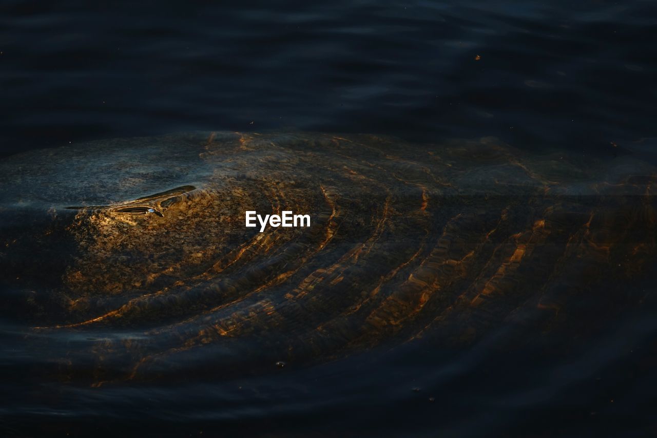 Full frame shot of rippled lake