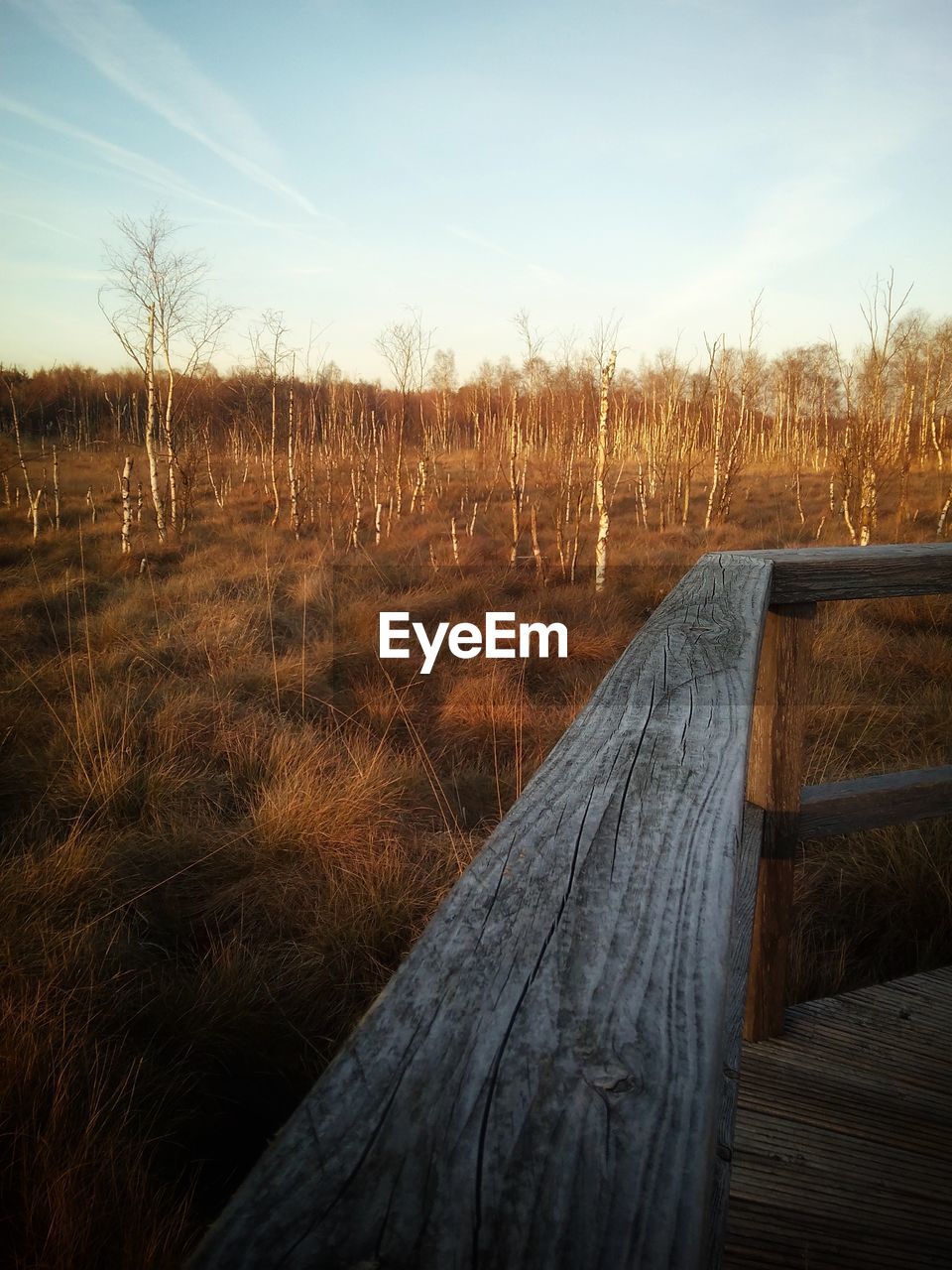 VIEW OF WOODEN FENCE ON FIELD