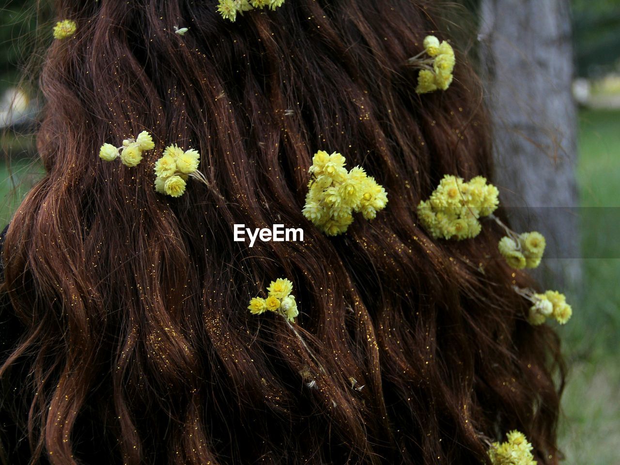 Close-up of yellow flowers and glitter in brown hair