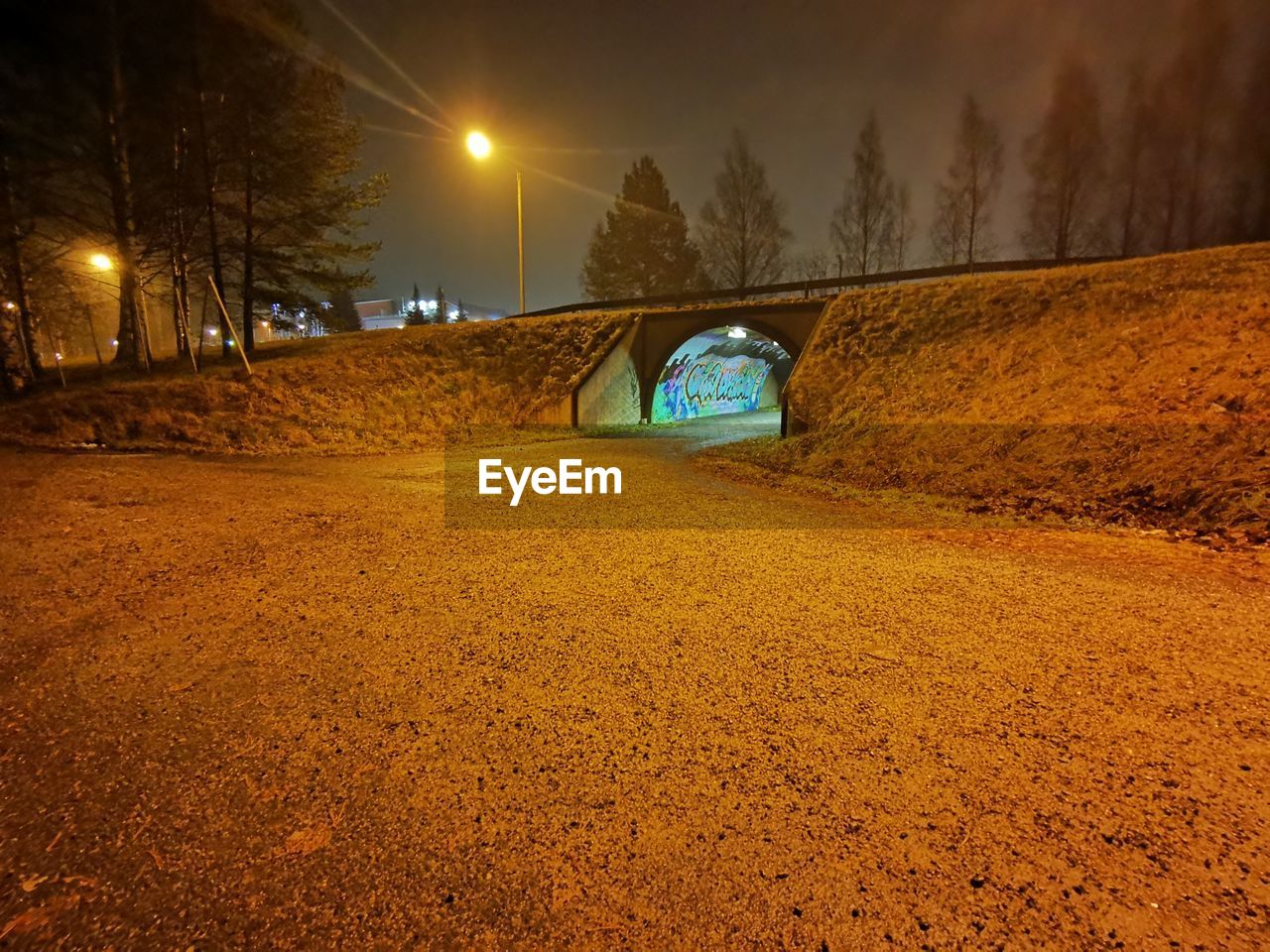 VIEW OF CAR ON ROAD AT NIGHT