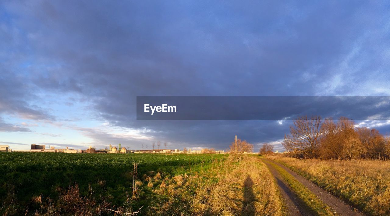 PANORAMIC VIEW OF FIELD AGAINST SKY