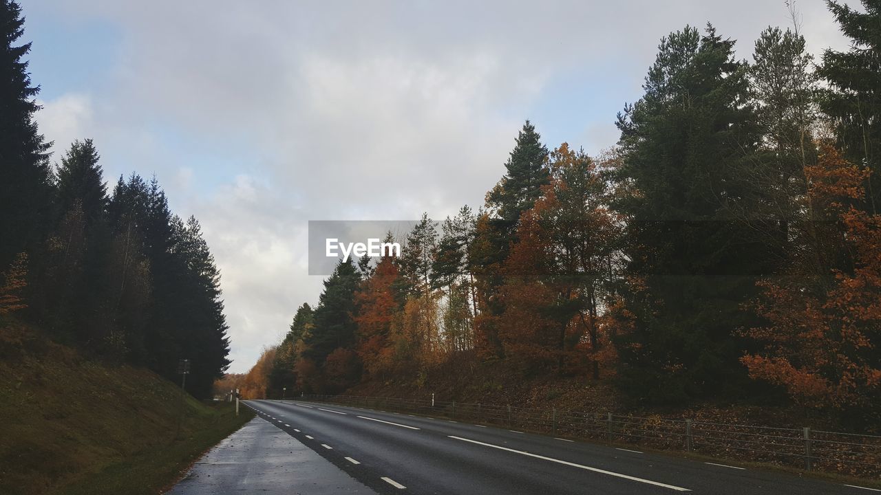 Road amidst trees in forest against sky