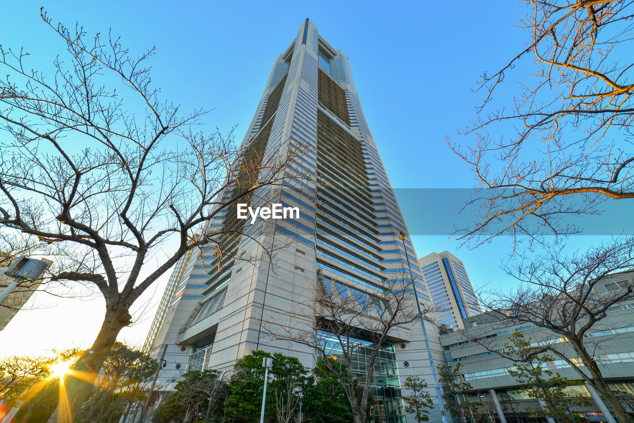 LOW ANGLE VIEW OF TREES AND BUILDINGS AGAINST SKY