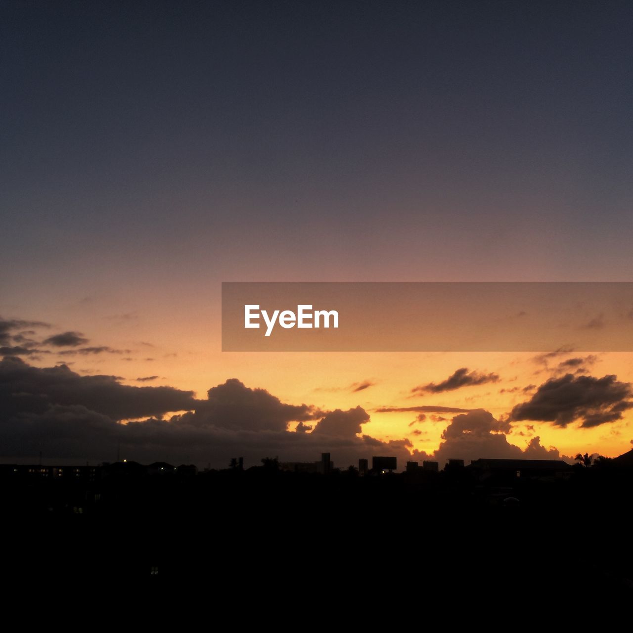 SILHOUETTE OF TREES AT SUNSET