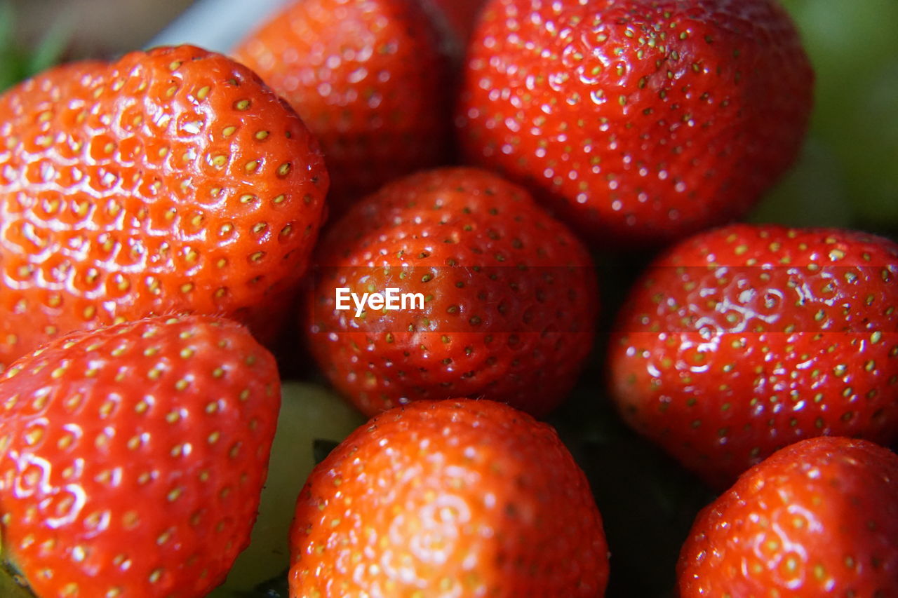 CLOSE-UP OF STRAWBERRIES IN CONTAINER