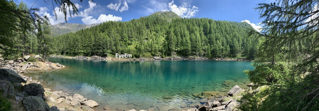 Scenic view of lake by trees against sky