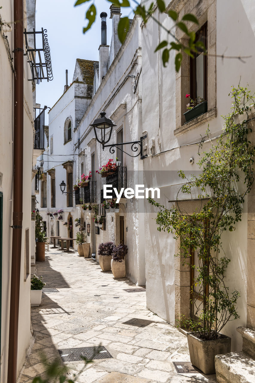 Locorotondo in the summer sun. warm puglia.