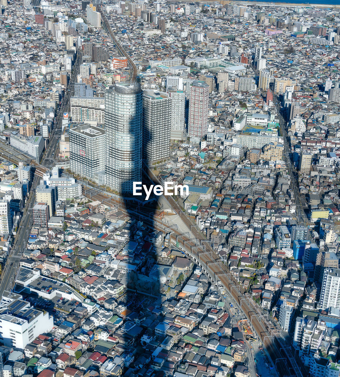 High angle view of tree and buildings in city