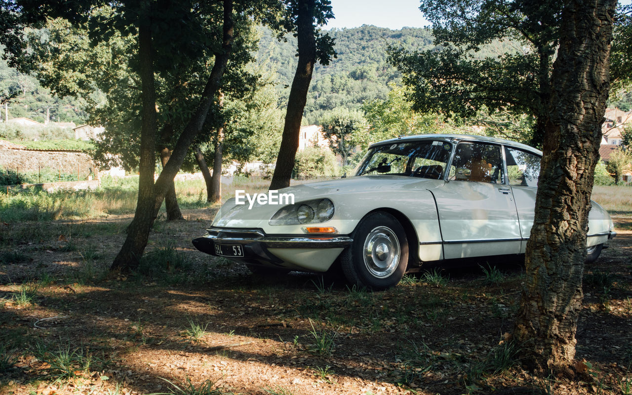 VINTAGE CAR ON LAND