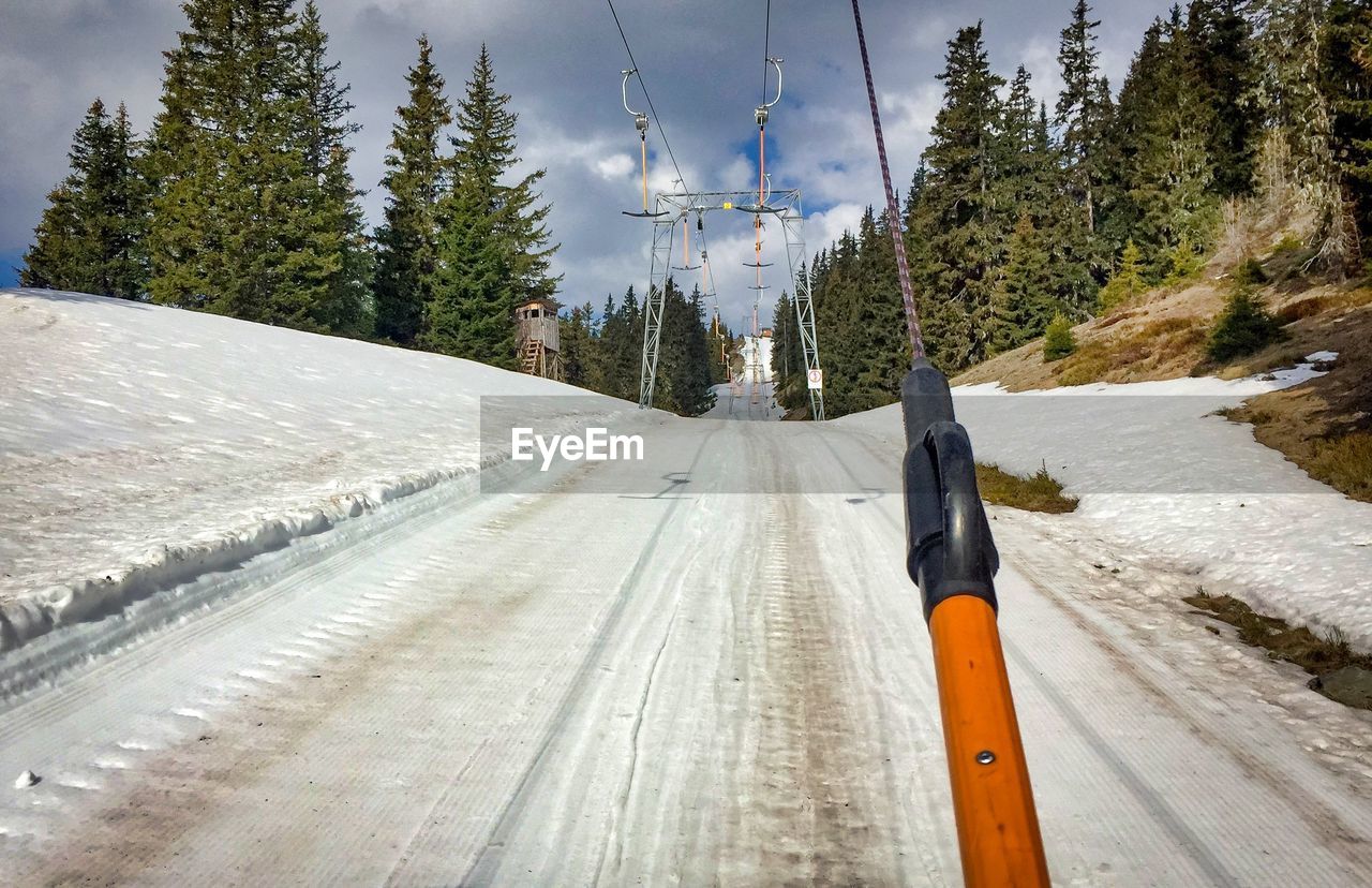 Road amidst trees against sky during winter