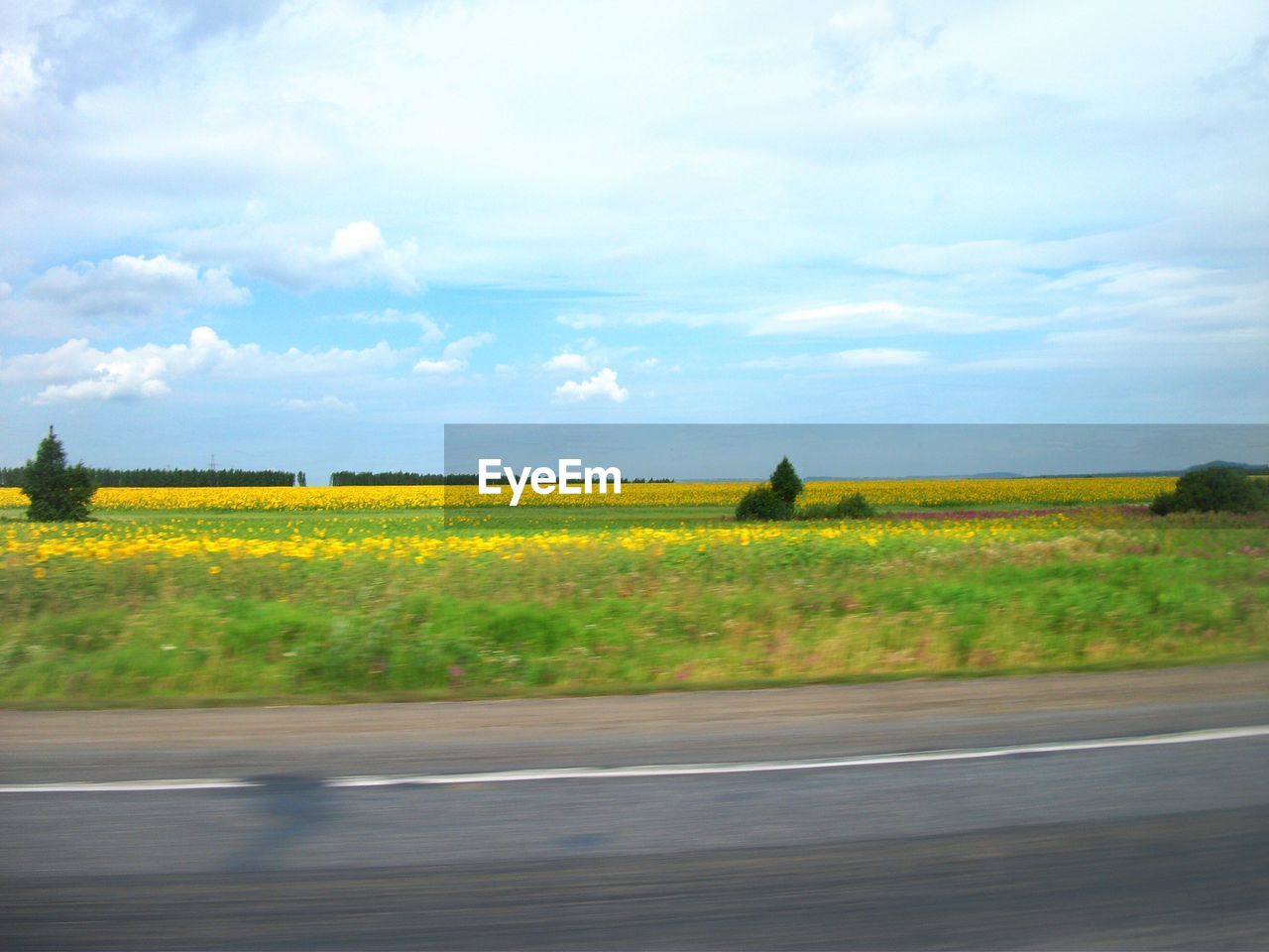 SCENIC VIEW OF FIELD AGAINST CLOUDY SKY