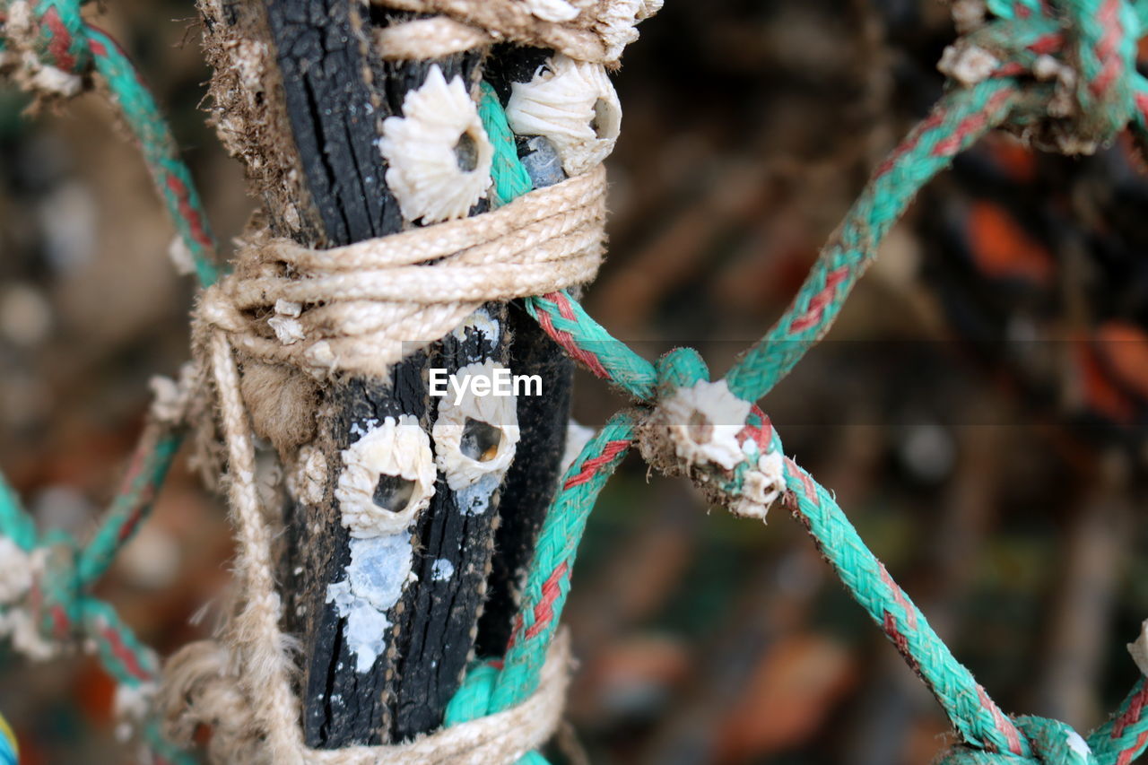 Close-up of rope on  a crab basket 