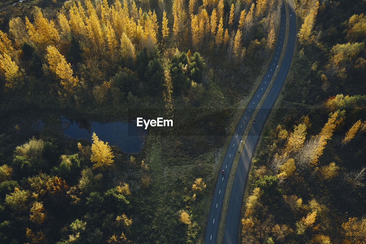 Asphalt road through colorful autumn forest