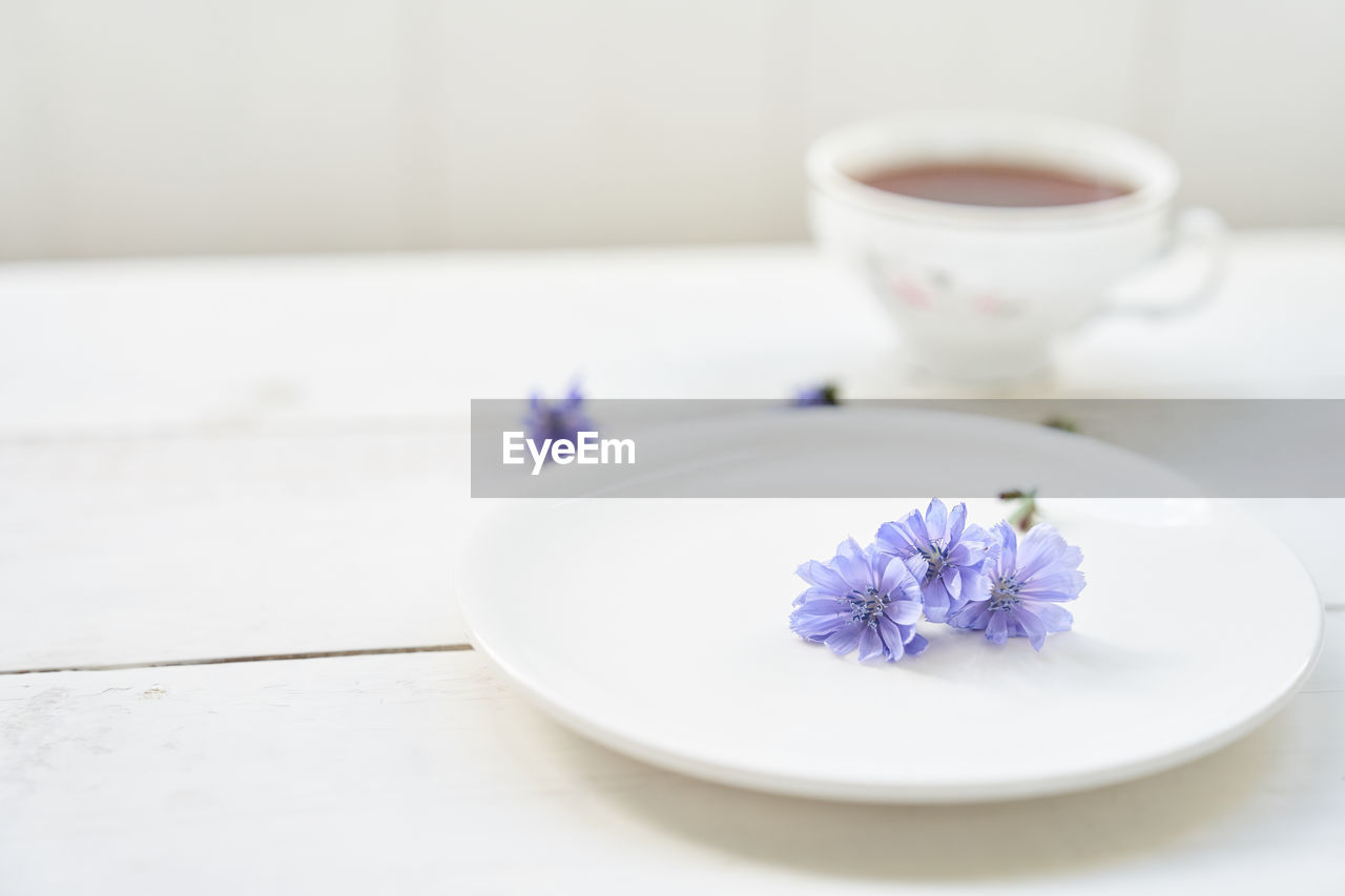 high angle view of white flowers on table