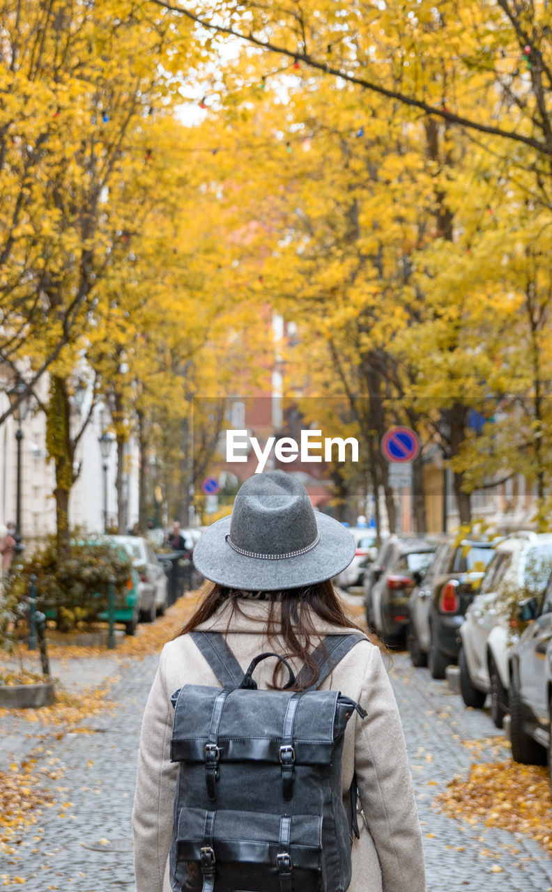 Rear view of young woman wearing backpack, walking in city street with autumn trees