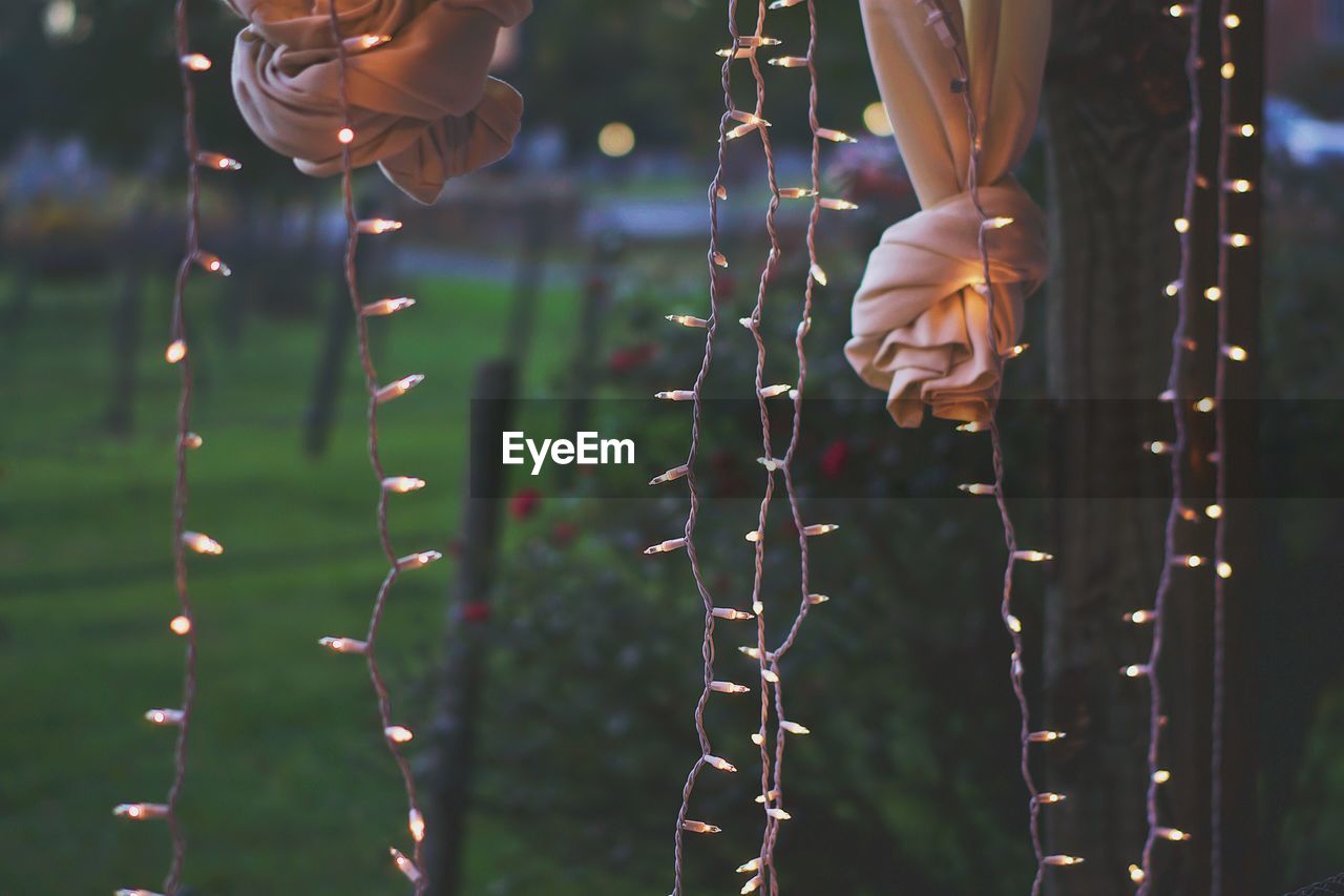 Close-up of illuminated string lights