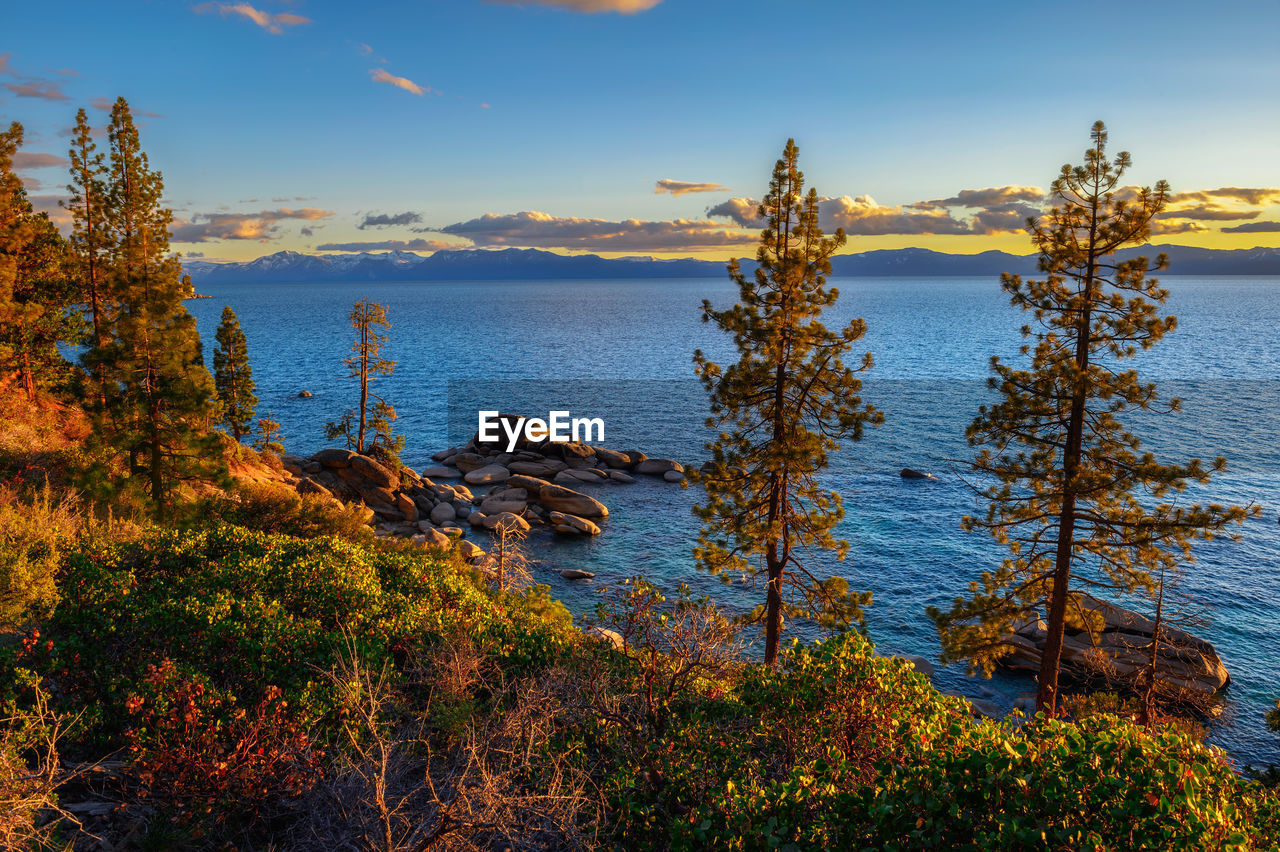 high angle view of trees against sky during sunset