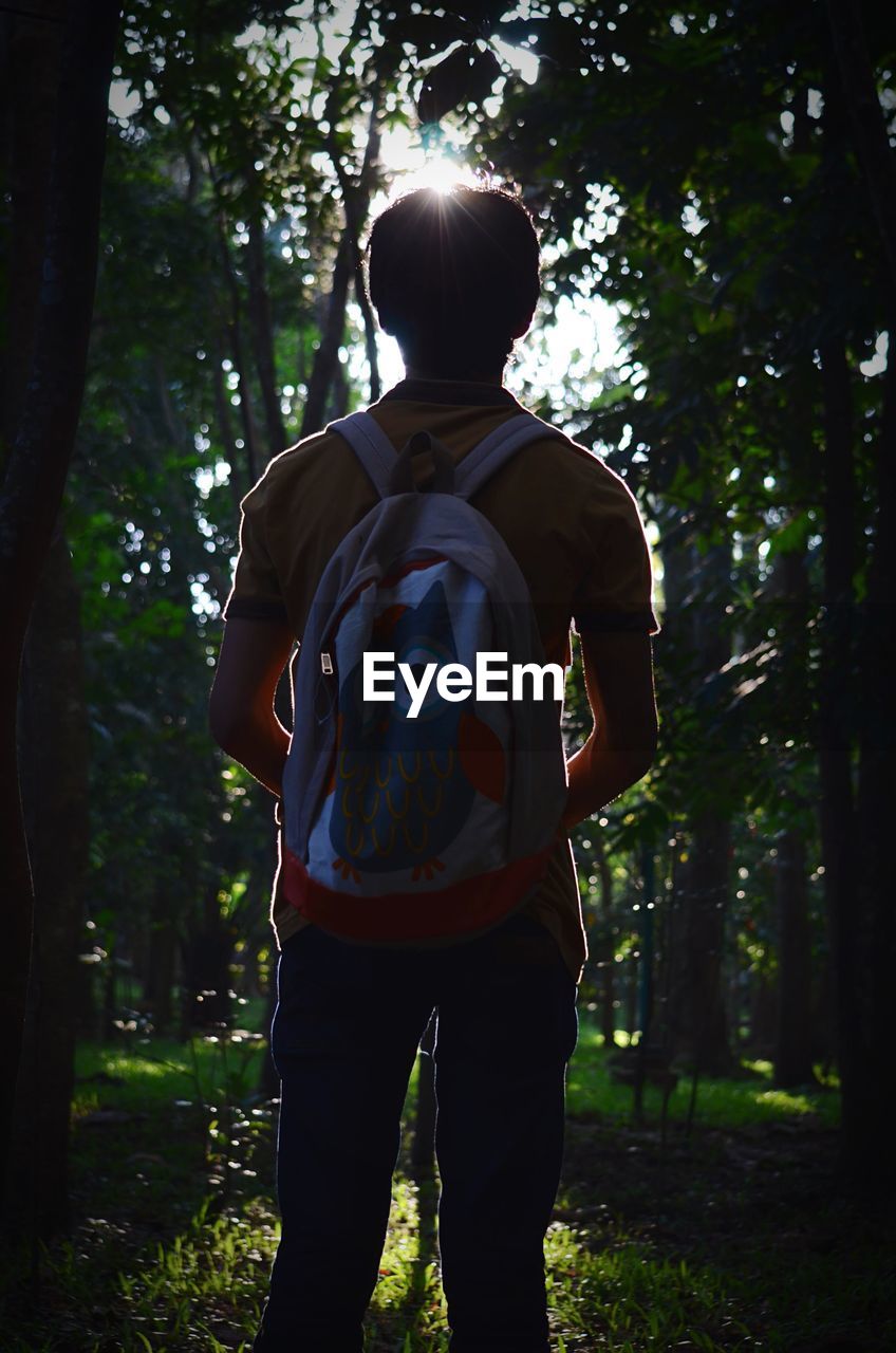 Rear view of man standing in forest