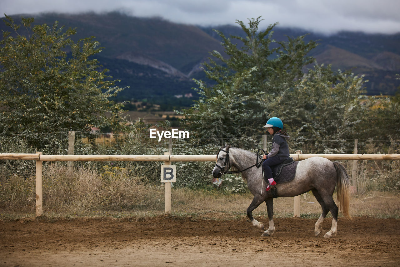 VIEW OF HORSE RIDING HORSES